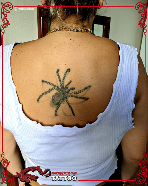 Imagem 3